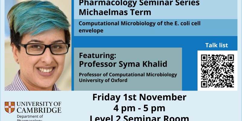 Computational Microbiology of the E. coli cell envelope